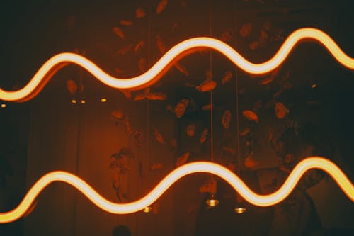 Foto stok gratis bayangan, dekorasi dinding, lampu neon