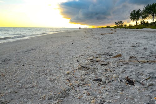 Gratis arkivbilde med florida, hav, sand