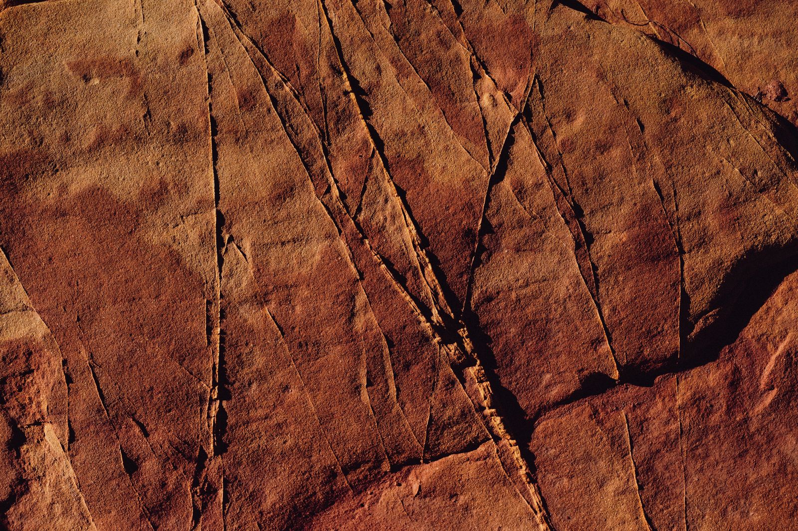 Weathering Photos, Download The BEST Free Weathering Stock Photos & HD ...