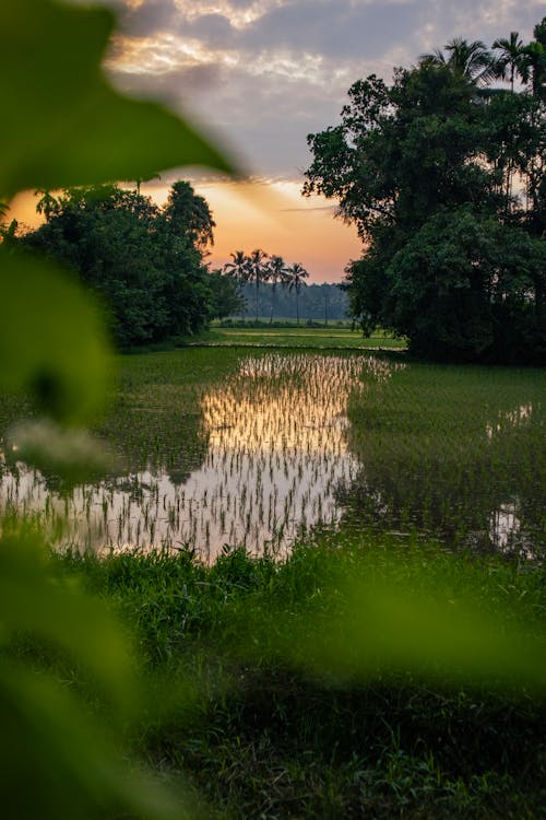Kerala Coconut Land,Kerala Beauty