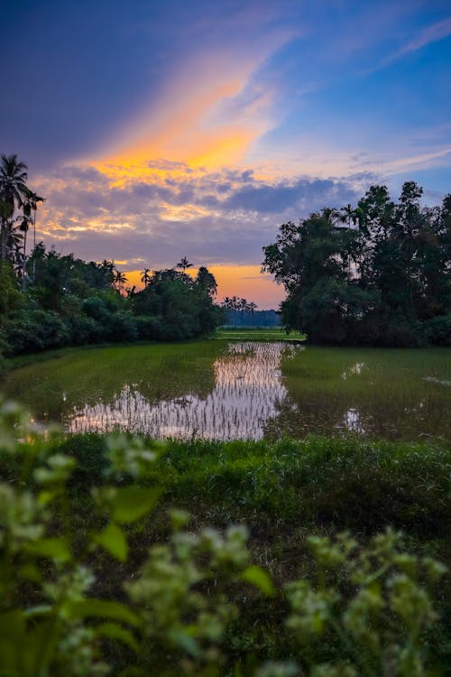 Kerala Coconut Land,Kerala Beauty