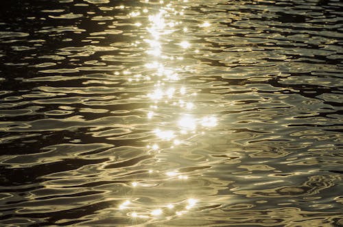 Immagine gratuita di acqua, lago, luce del sole