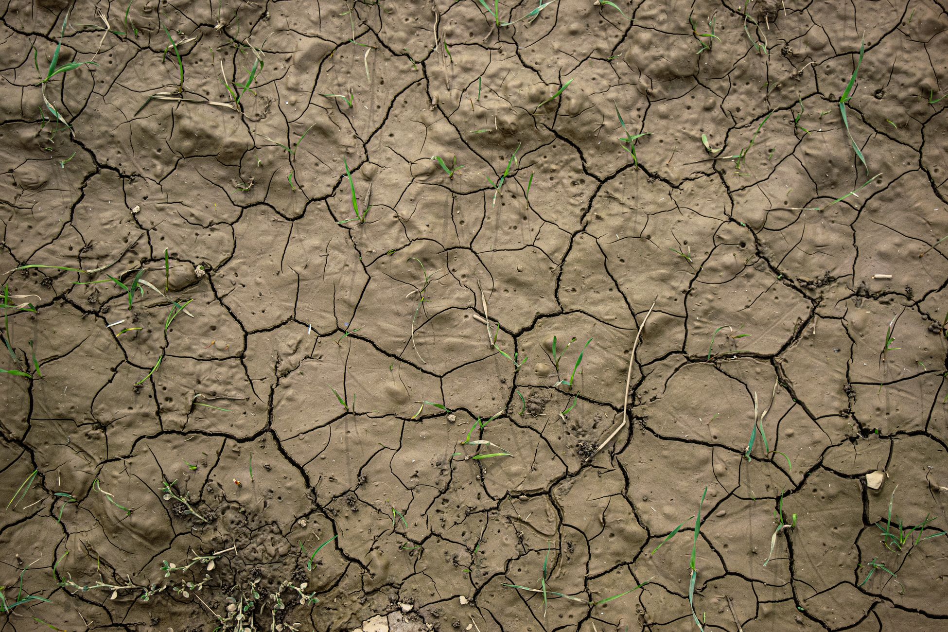 Klimaatverandering en uitdrogingsverschijnselen: een uitleg aan de buitenwereld