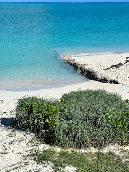 View of a Beach and Sea with Turquoise Water 