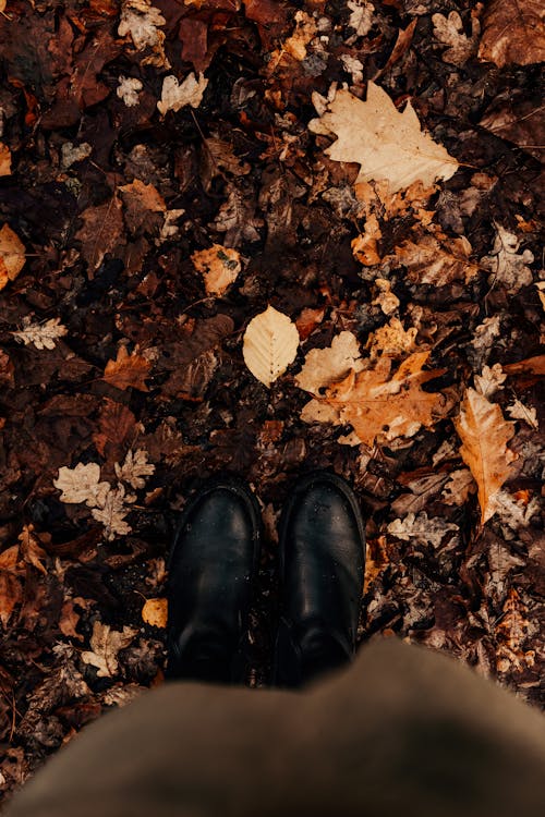 Darmowe zdjęcie z galerii z buty, jesień, kobieta