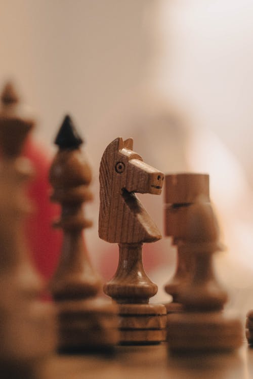 Foto d'estoc gratuïta de cavaller, de fusta, escacs