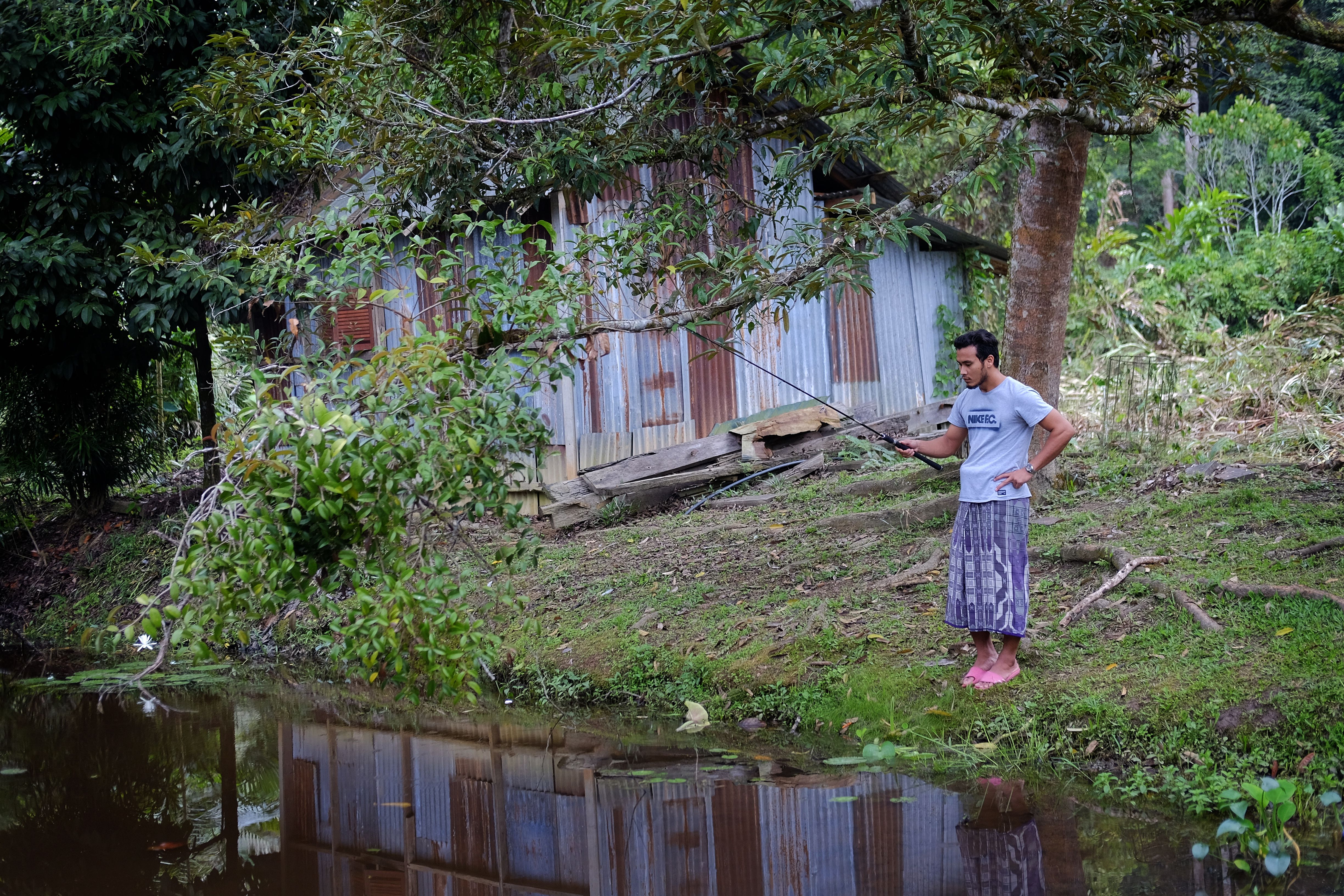 A man fishing by a rustic shack near a lake, surrounded by lush summer greenery.