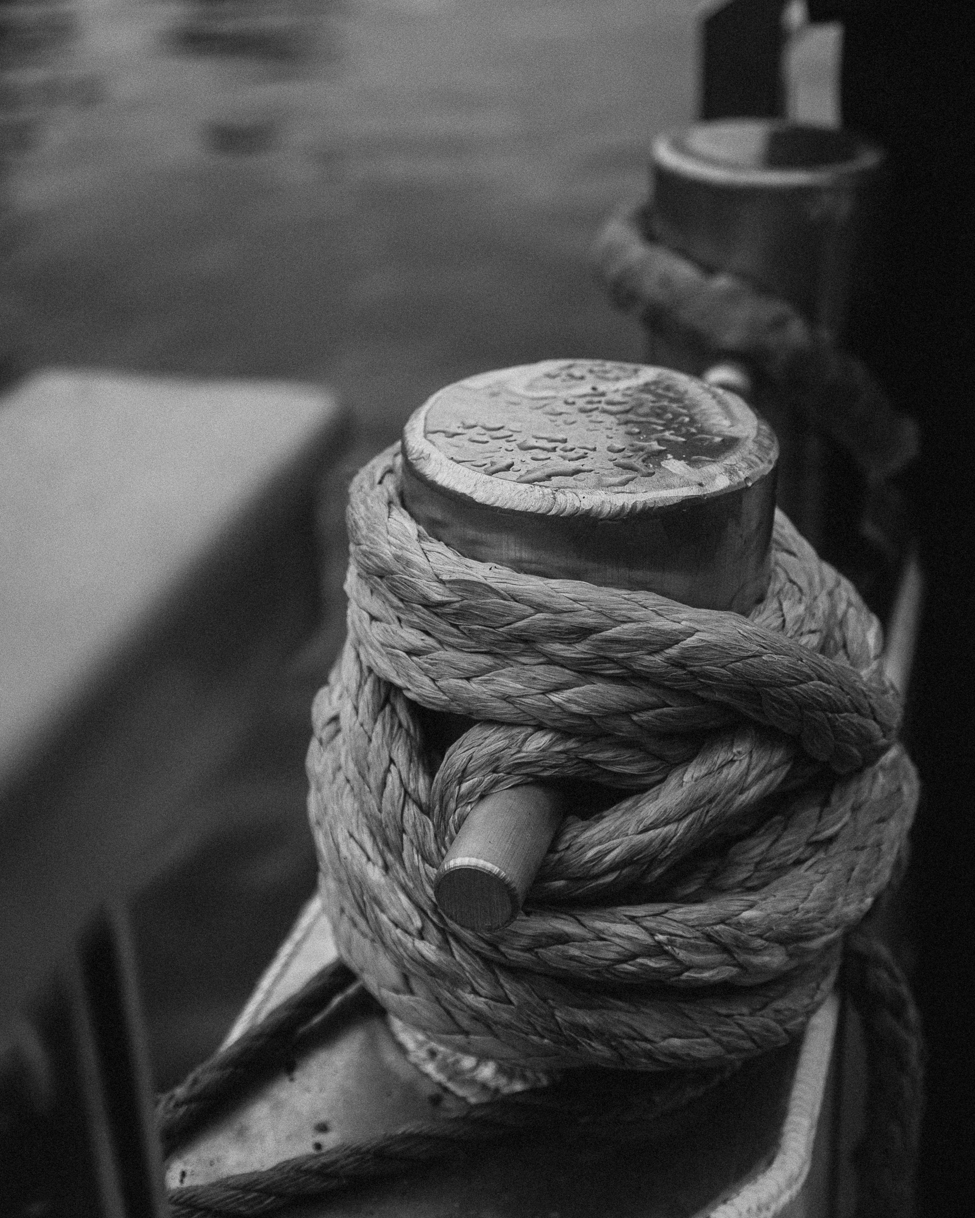 Rope Tight at Harbor · Free Stock Photo