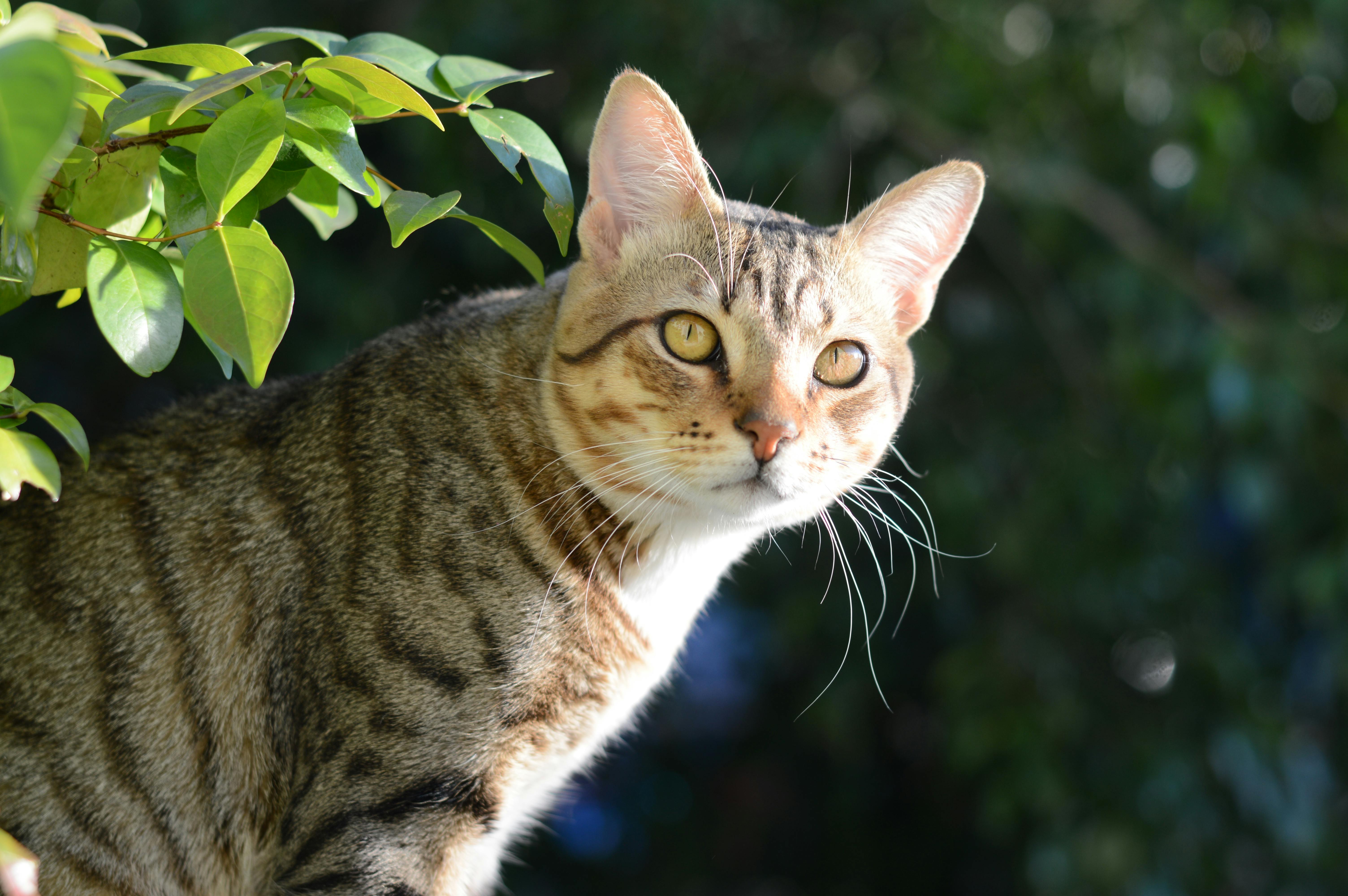 What's The Difference Between Reps And Real Shoes Difference