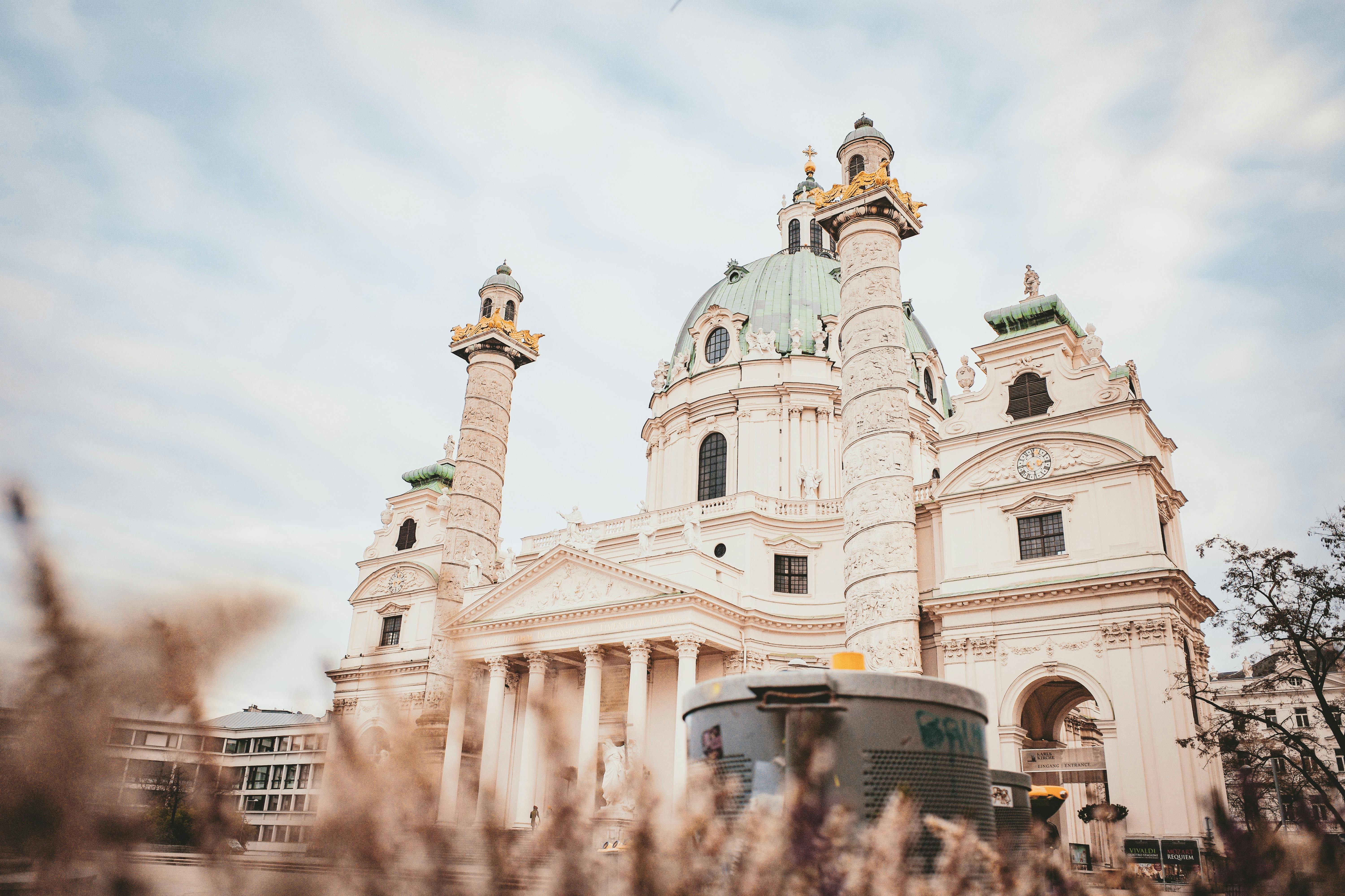 Sapo Rococó Photos, Download The BEST Free Sapo Rococó Stock Photos ...