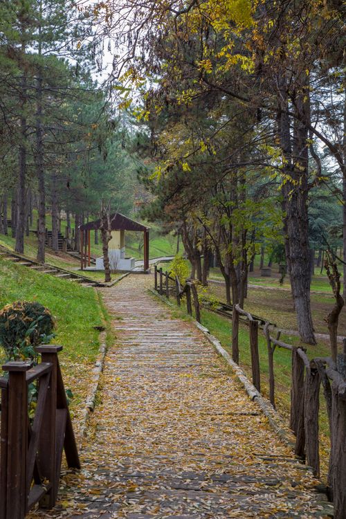 Free Serene wooden walkway covered with autumn leaves in a peaceful forest setting. Stock Photo