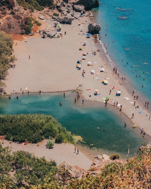 Aerial Shot of a Beach