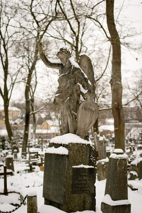 Sculpture at Cemetery in Vilnius in Winter
