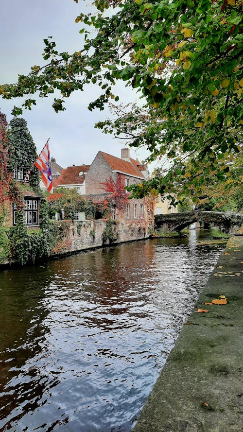 Gratis arkivbilde med atmosfera de outono, bro, bruges