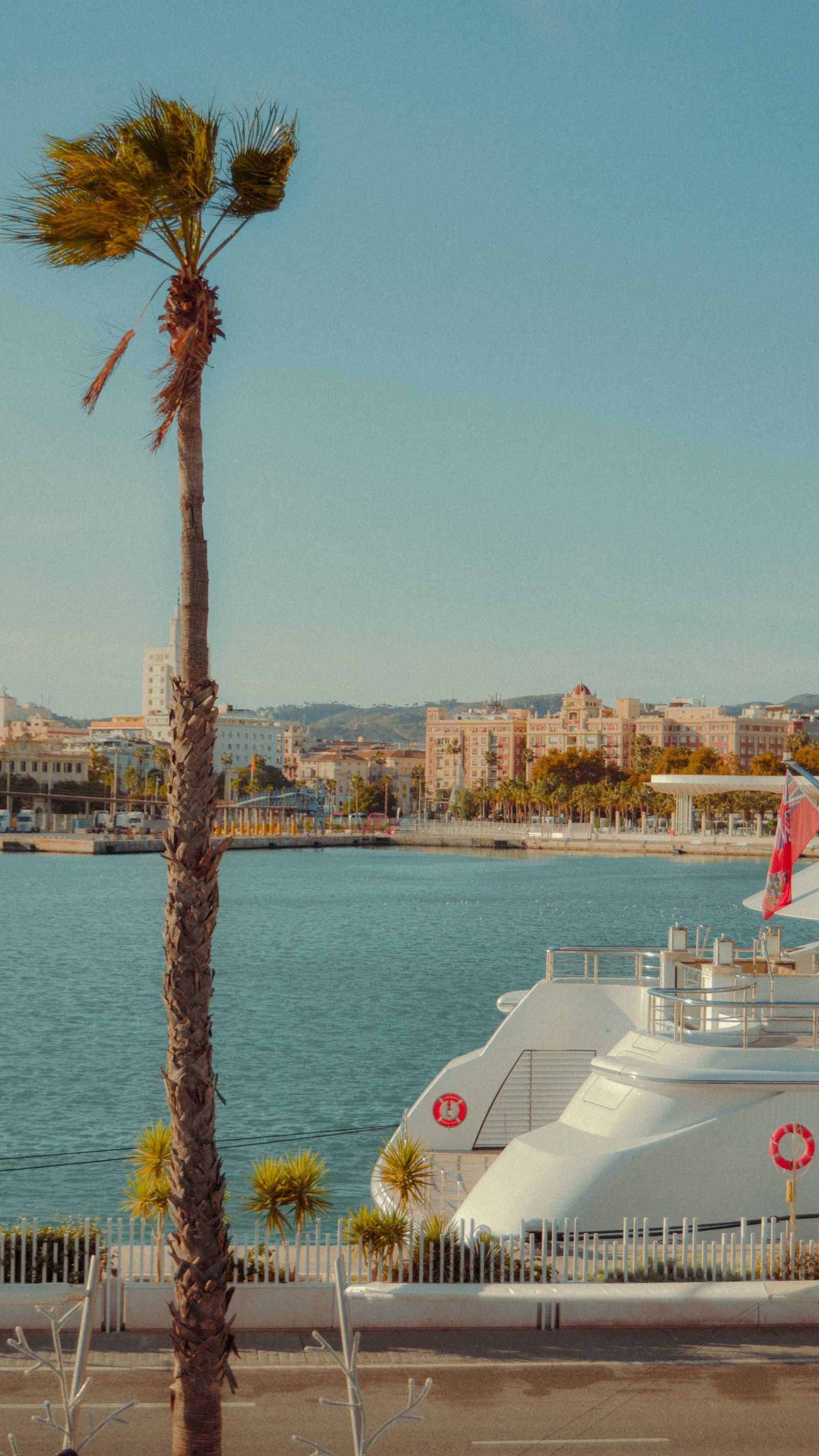 Málaga marina with superyachts palm trees and Mediterranean