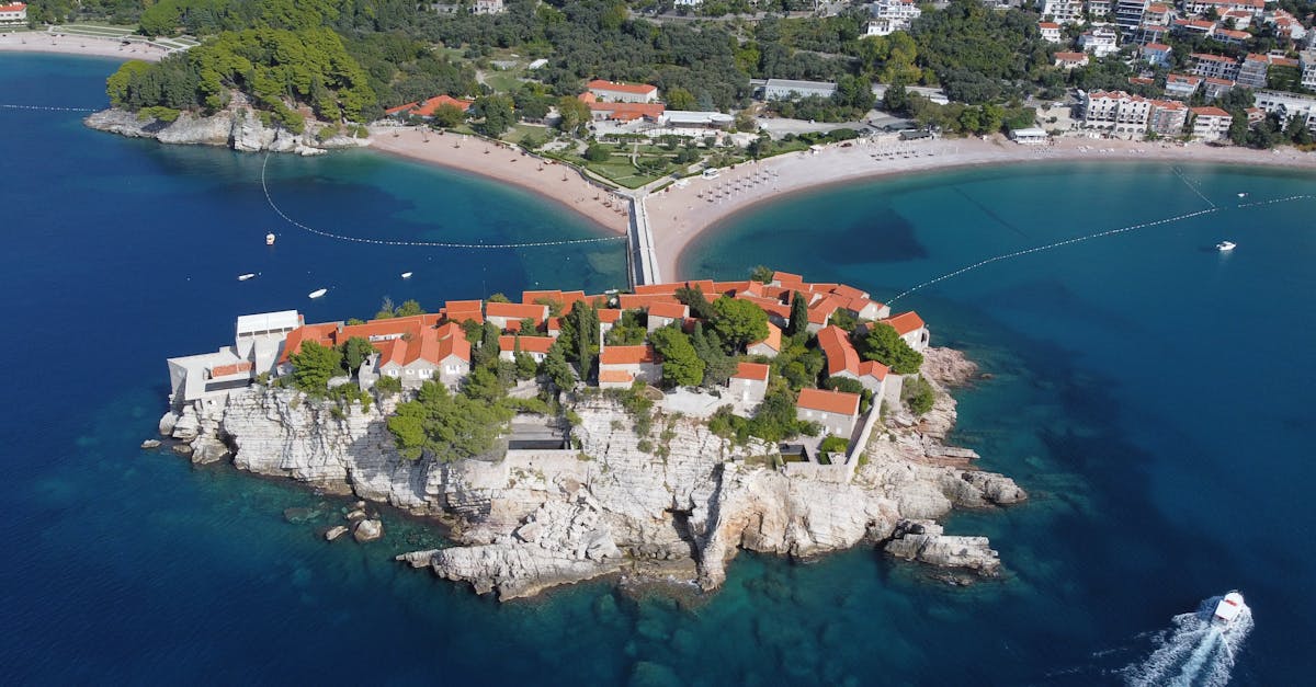 Lost Memories and Electromagnetic Echoes 1 image text