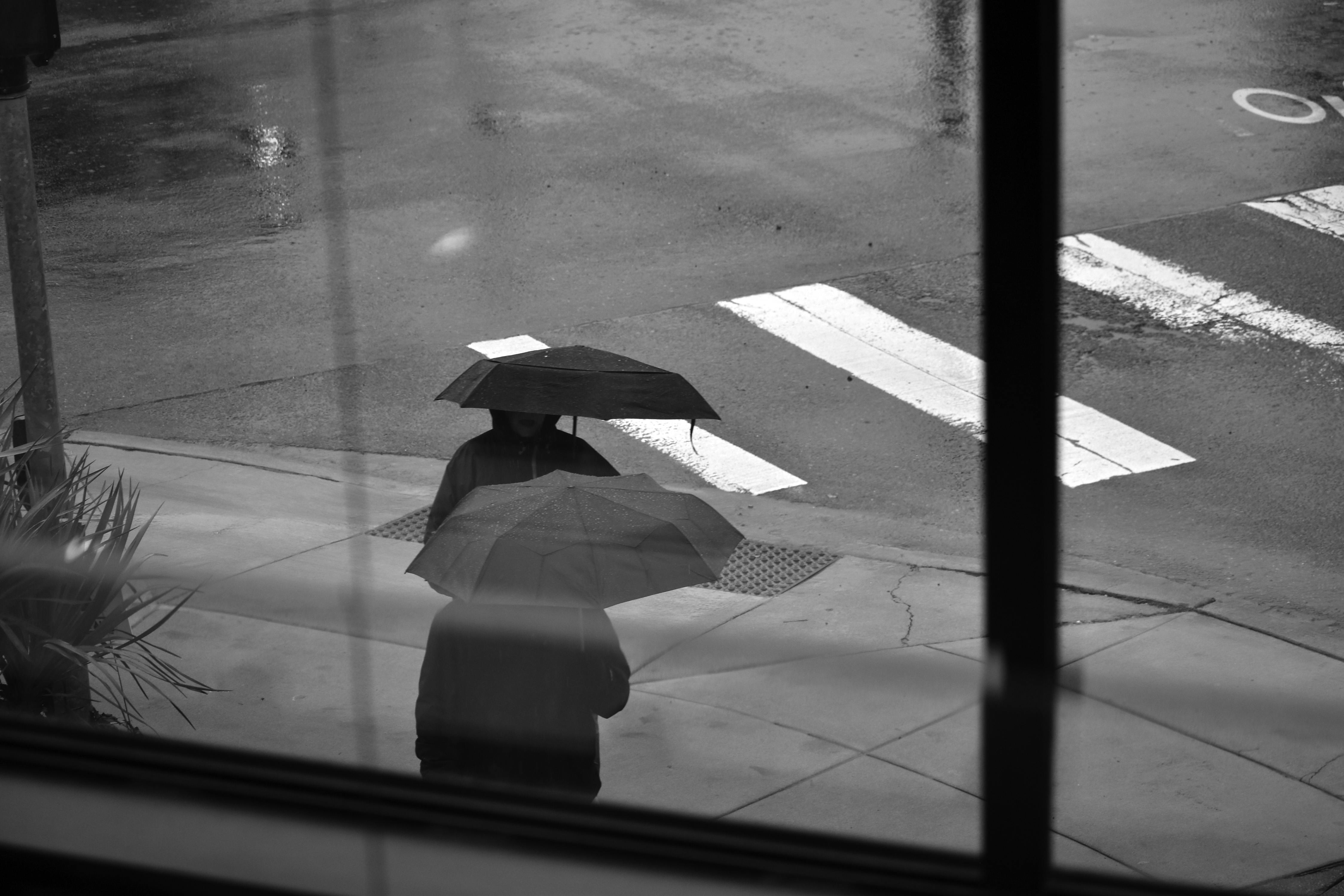 A person with an umbrella walking down the street · Free Stock Photo
