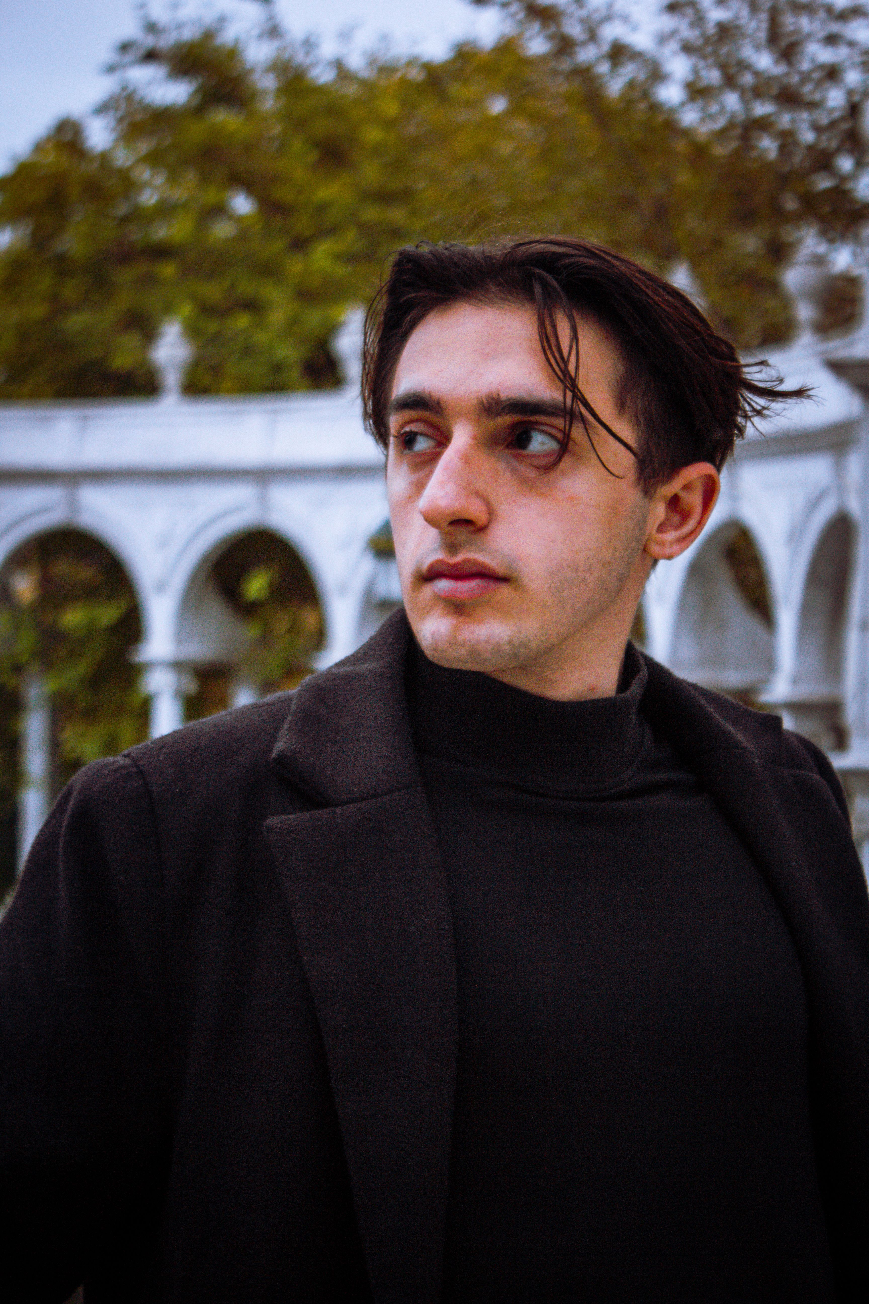 Portrait of a Young Man · Free Stock Photo