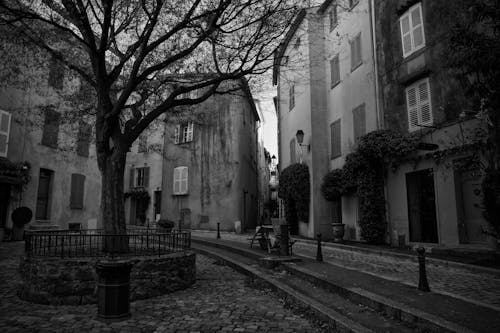 Kostenloses Stock Foto zu baum, gebäude, schwarz und weiß