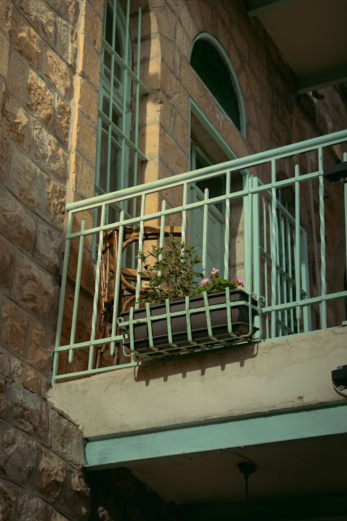 Potted Plant Decorating Balcony