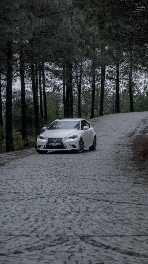 White Lexus on a Road by the Forest