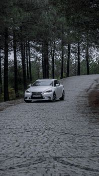 A luxurious white car driving through a serene forest road, surrounded by tall trees.