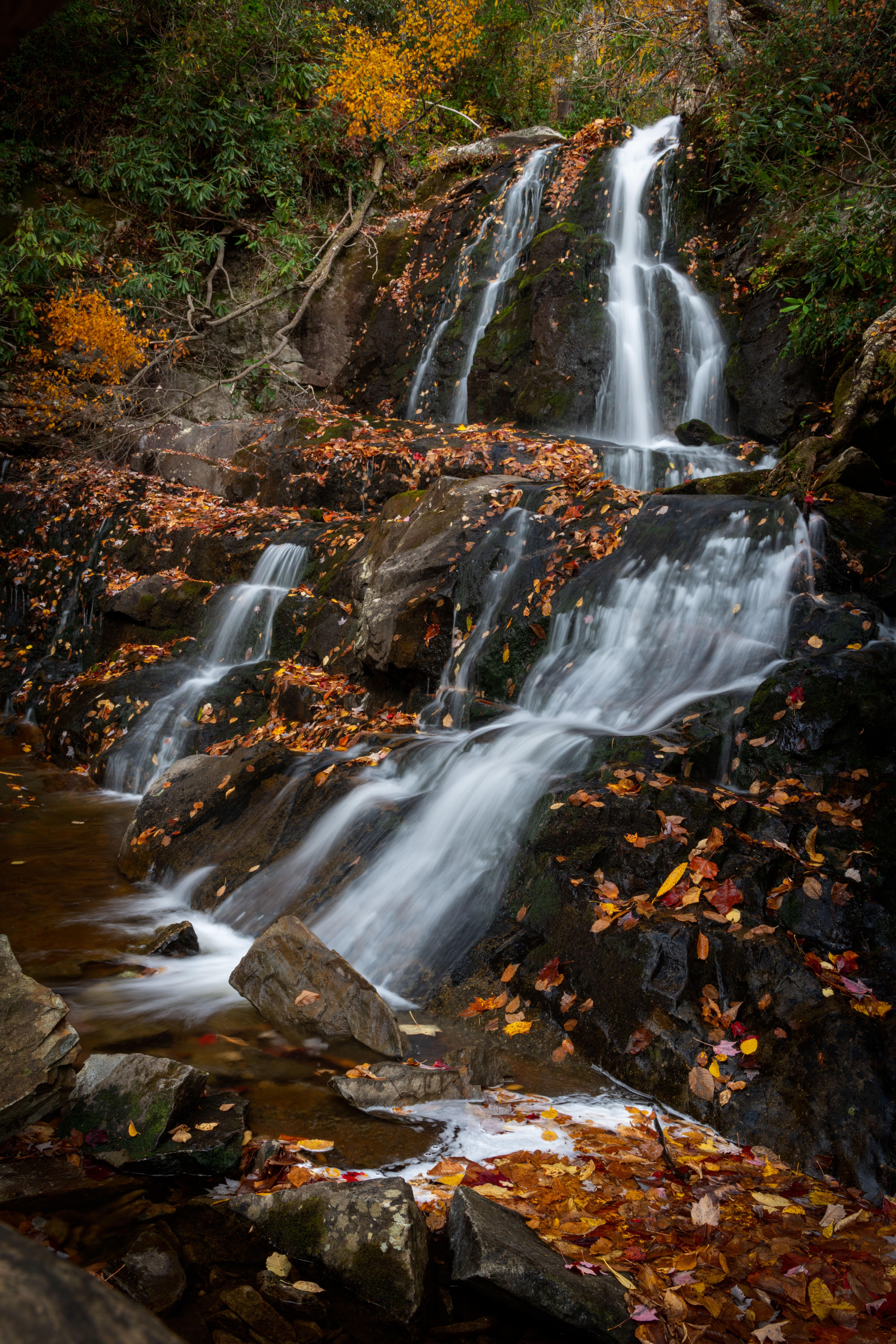 Photo of Waterfalls During Fall Season · Free Stock Photo