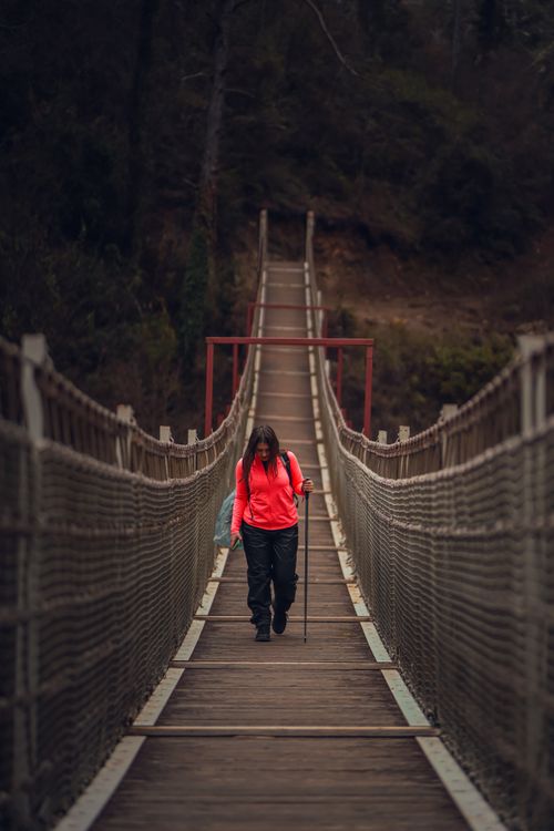 Free A woman in a red jacket walks on a wooden suspension bridge through a forest. Stock Photo