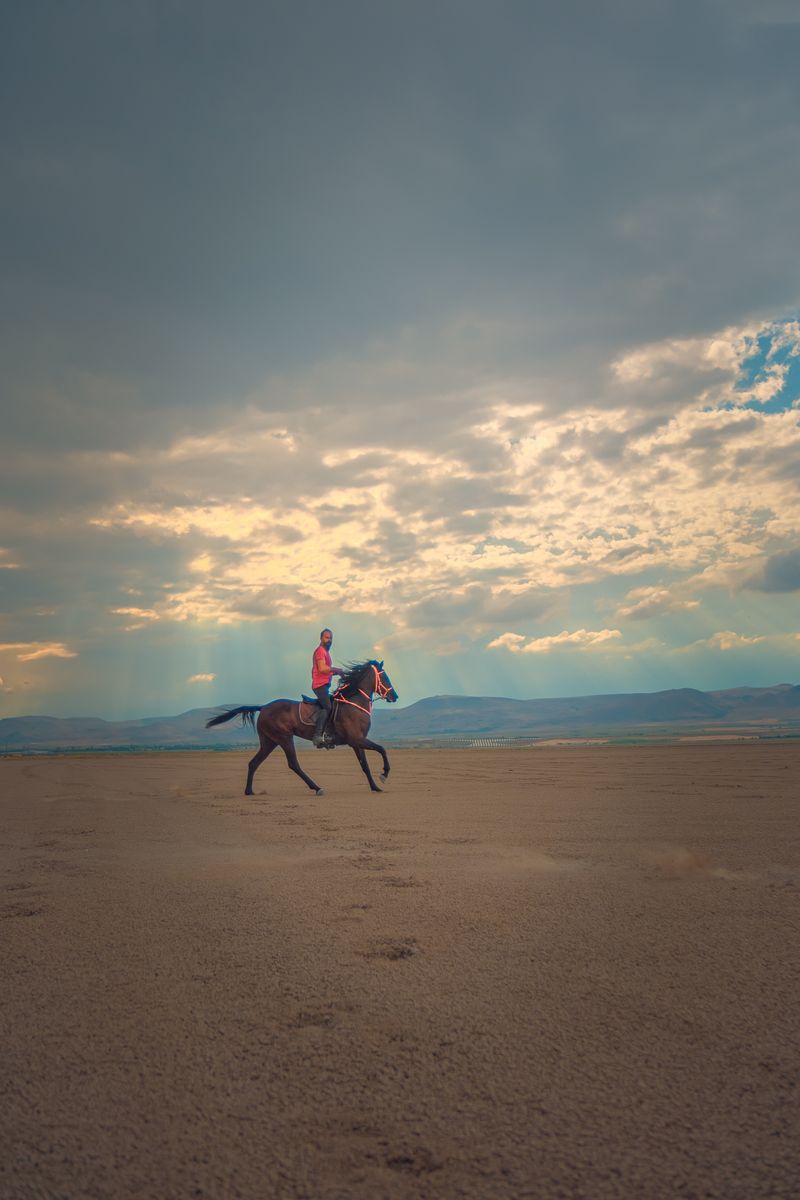 Dramatik gökyüzü altında geniş bir arazide atlı binici