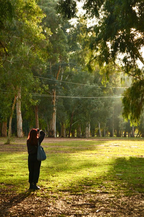 Woman Taking Pictures in a Park 