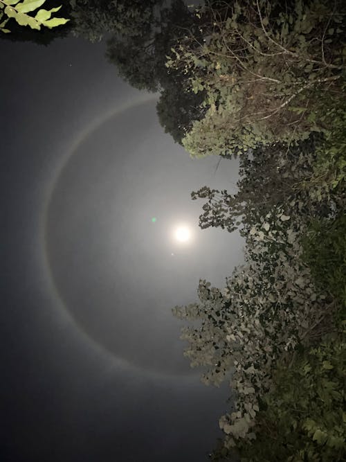 ay, ay fotoğrafçılığı, Ay ışığı içeren Ücretsiz stok fotoğraf