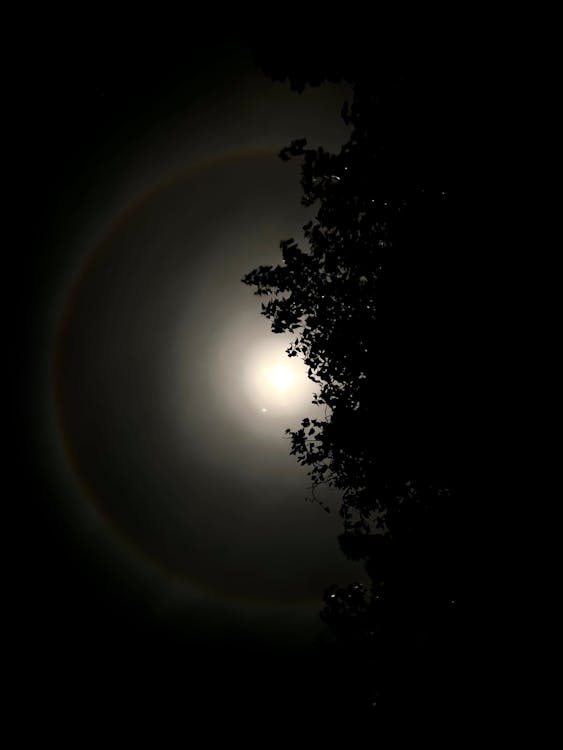 Foto d'estoc gratuïta de cel nocturn, foto nocturna, fotografia de lluna