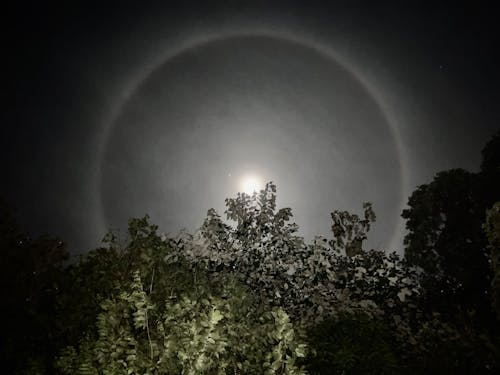 Foto d'estoc gratuïta de cel nocturn, foto nocturna, fotografia de lluna