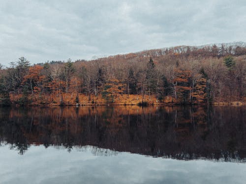 Autumn Forest Reflected in the Lake 