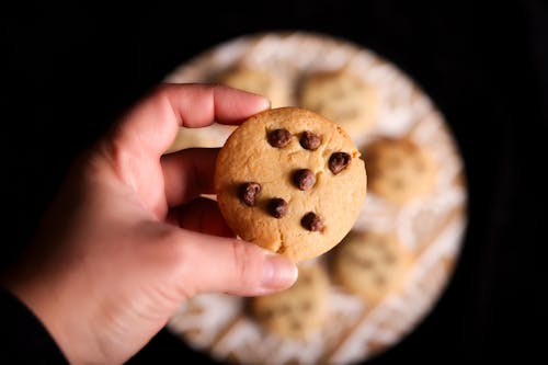 Hand Holding Cookie with Chocolate