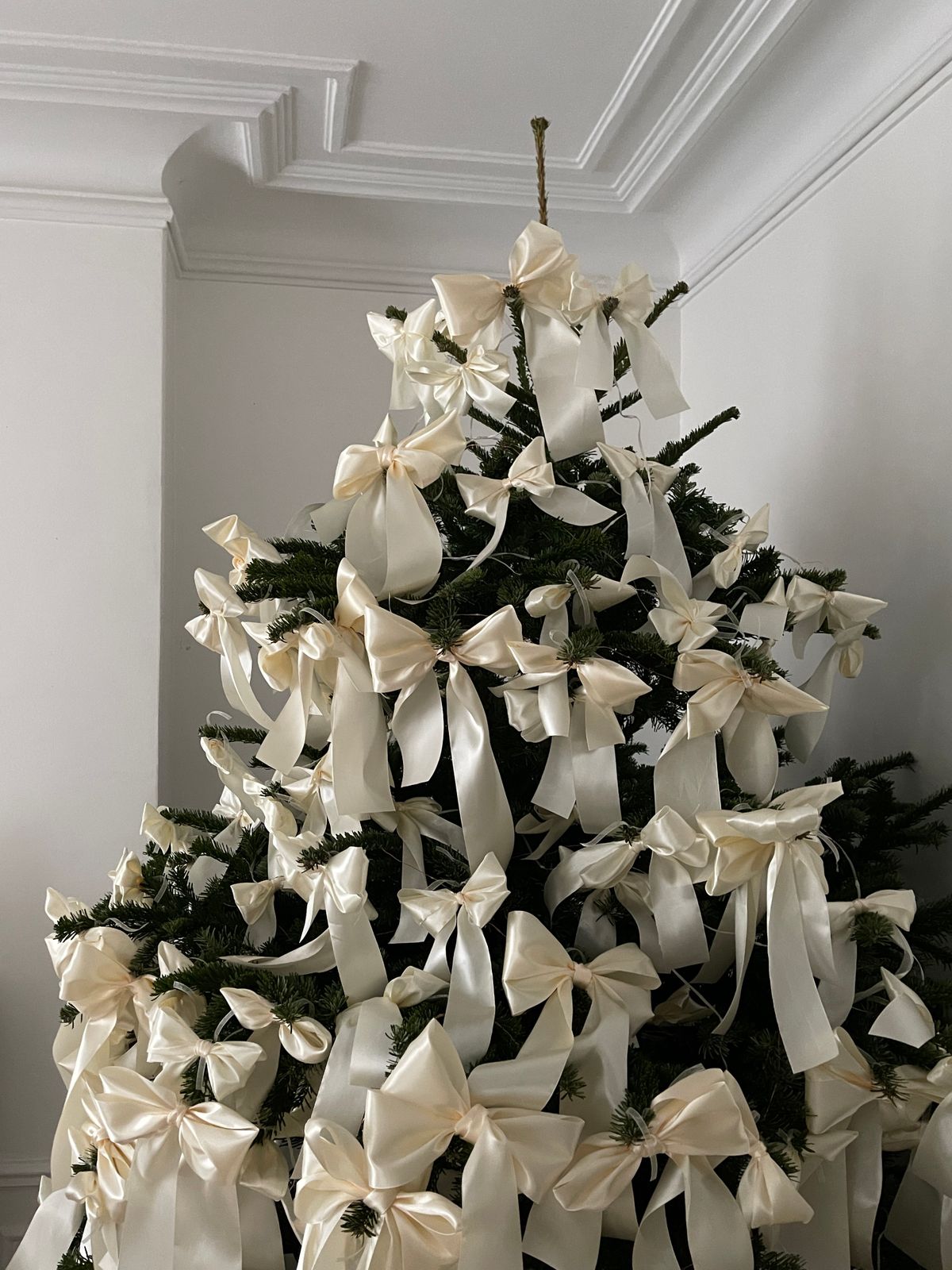 Christmas tree with luxurious white ribbon cascading vertically