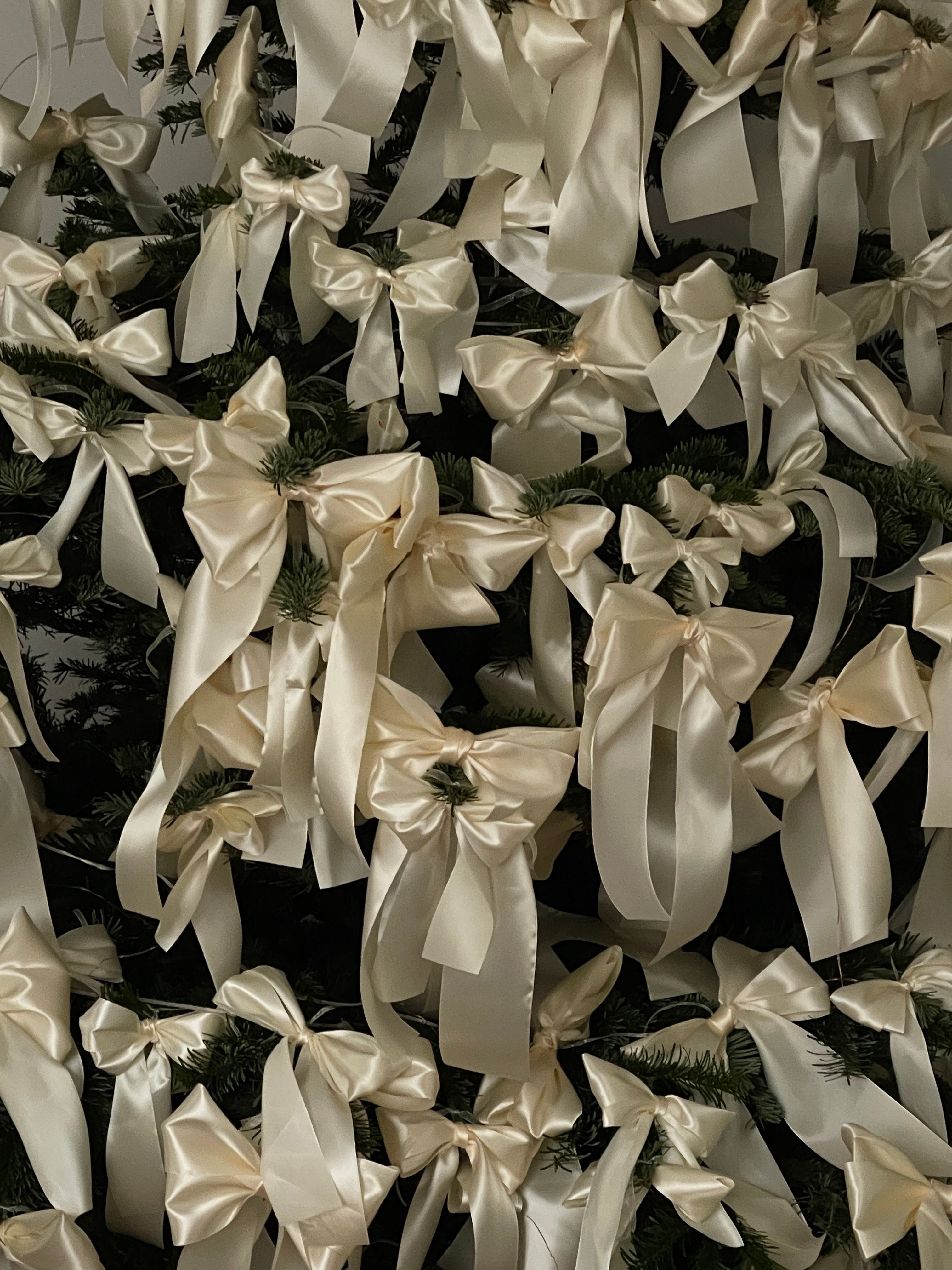 Large White Ribbons on Christmas Tree · Free Stock Photo