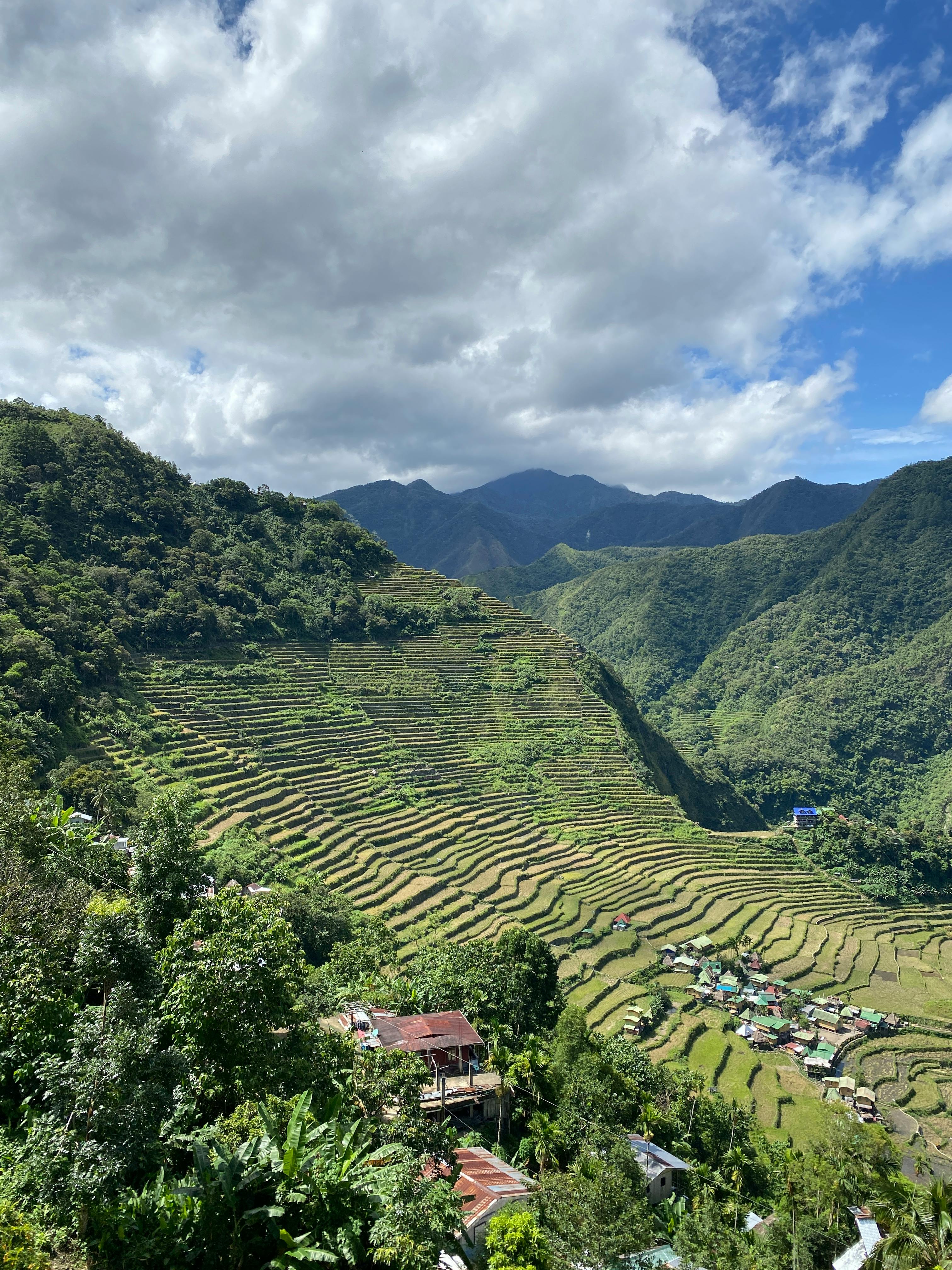 Illustration of terraced hillside