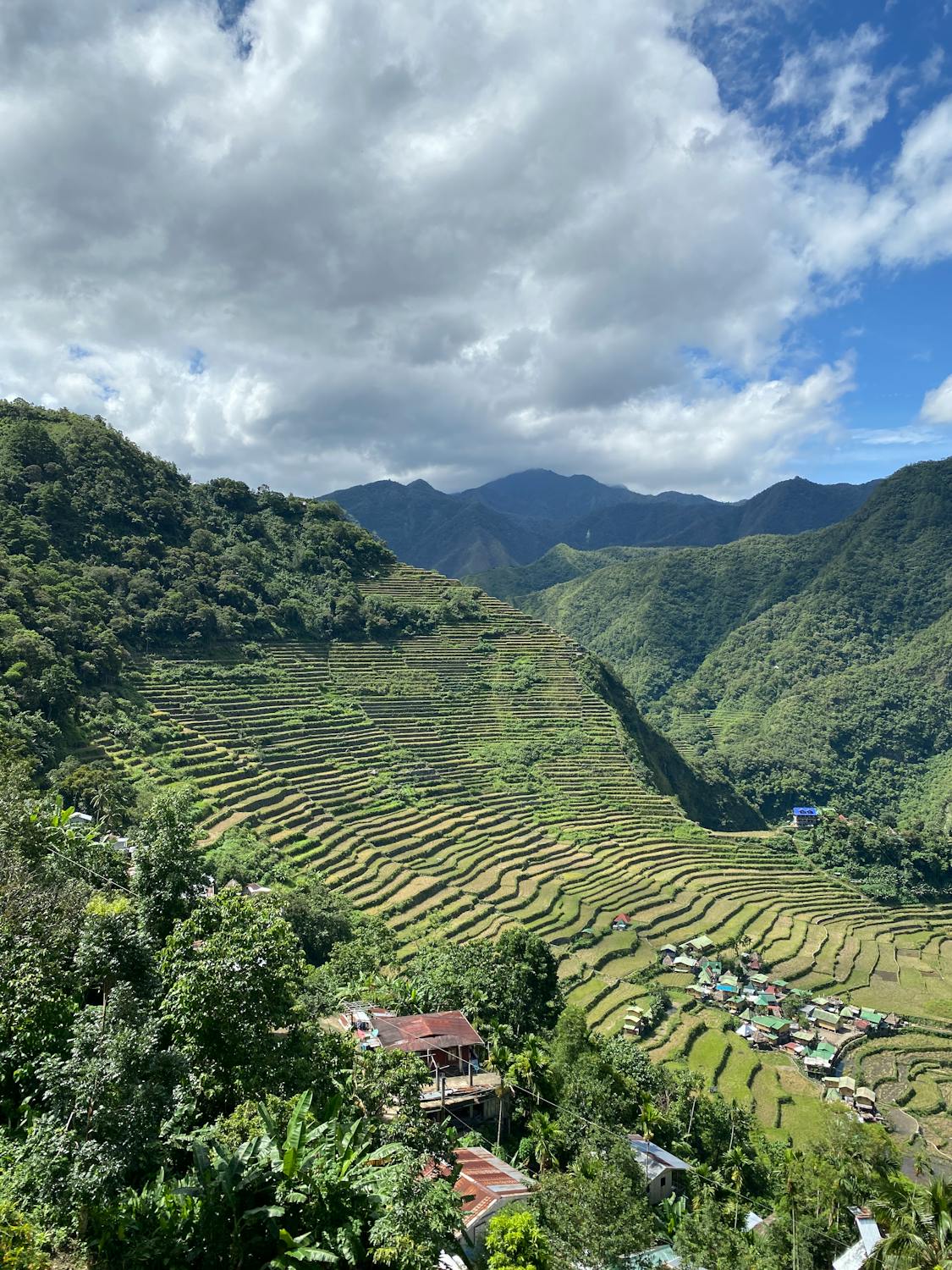 Illustration of terraced hillside