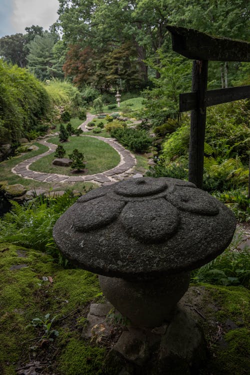 Photos gratuites de akron, jardin japonais, stan hywett
