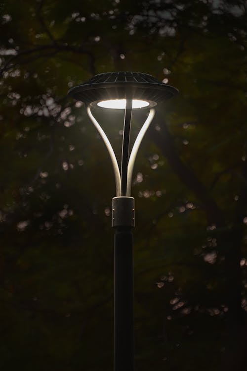 Street Lamp Light