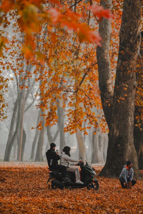 Free A couple rides a scooter through a beautiful park filled with autumn leaves, creating a serene and romantic atmosphere. Stock Photo