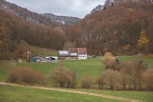 Ingyenes stockfotó fák, falu, falvak témában