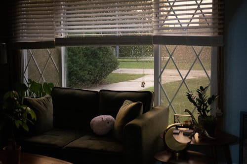 Living Room Interior with a View of the Front Yard on a Rainy Day 