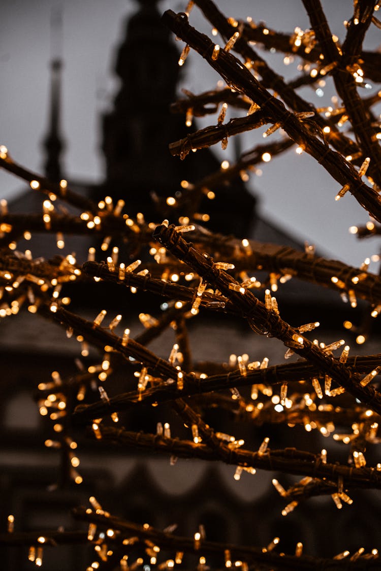 Close-up Of Christmas Lights On A Tree 