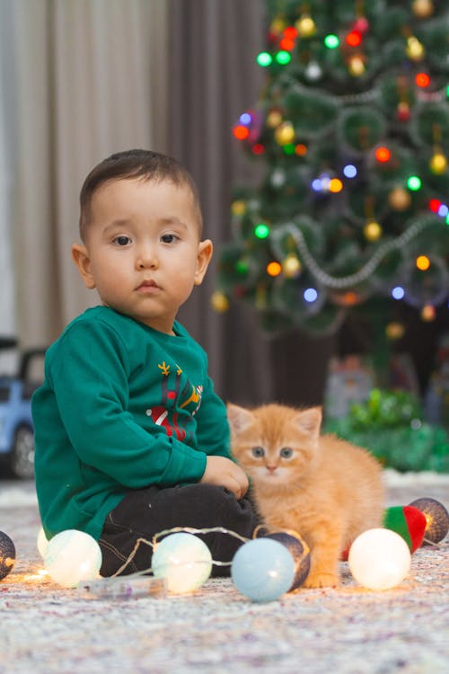 Little Boy Sitting with a Brown Kitten