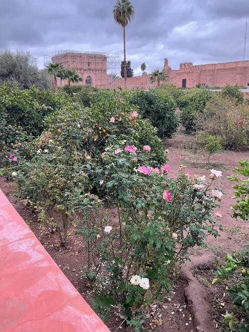Ilmainen kuvapankkikuva tunnisteilla el badii palace, Marokko, marrakech