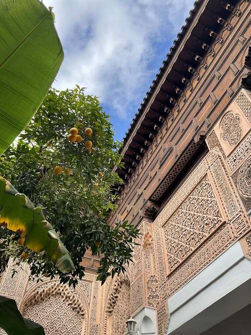 Foto profissional grátis de bahia, castelo, marrakech