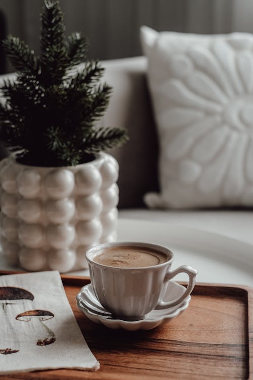 Porcelain Cup of Coffee on a Saucer Next to a Christmas Tree in a Pot