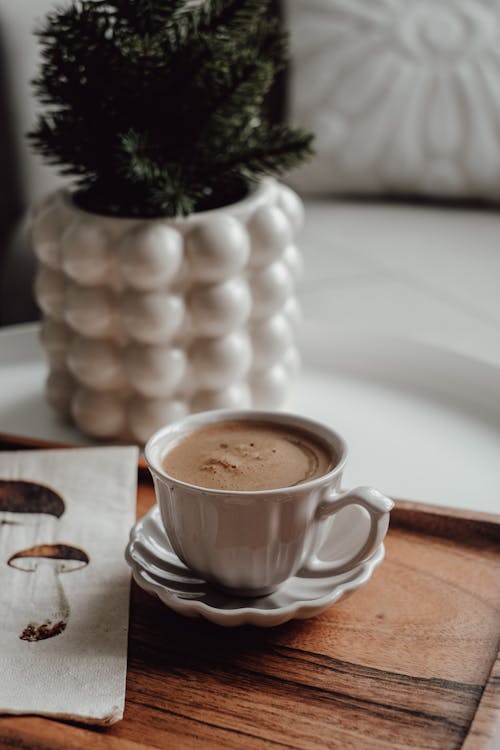 Delicious Coffee with Foam by Needle Tree in Pot